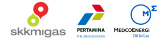 JOB PERTAMINA-MEDCO E&P SIMENGGARIS
