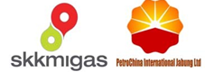 PetroChina International Jabung LTD