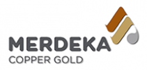 PT Merdeka Copper Gold Tbk; 2 positions