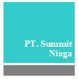 PT Summit Niaga; Project Finance Specalist/ Financial Modeling