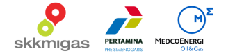 JOB PERTAMINA-MEDCO E&P TOMORI SULAWESI
