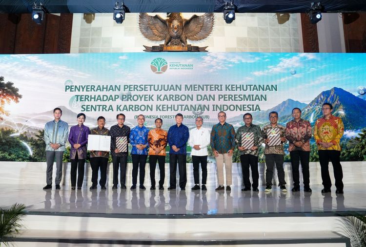 Indonesia launches forestry carbon hub, approves first carbon credit projects